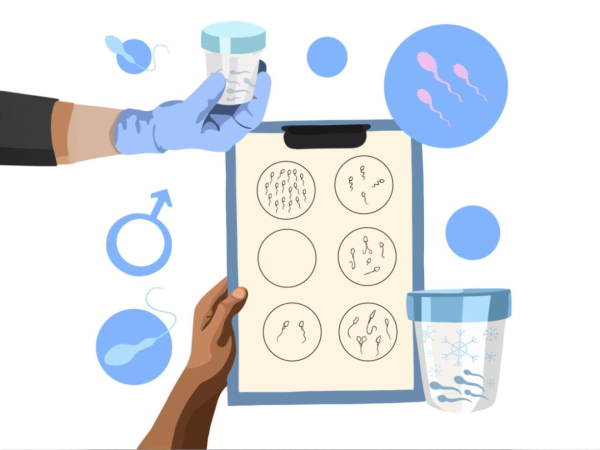 Can High Testosterone Cause Infertility? Exploring the Risks of Hormone Therapy on Male Fertility
